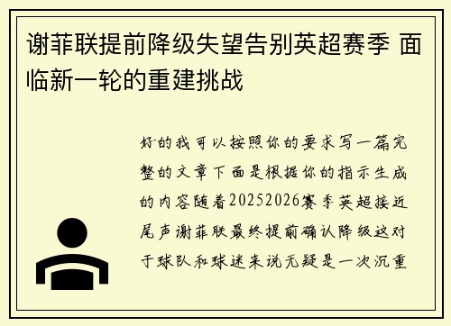 谢菲联提前降级失望告别英超赛季 面临新一轮的重建挑战